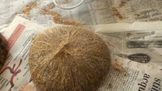 How to make percussion music instruments with coconuts [upl. by Lanae789]