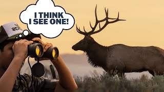 How To Scout For Elk [upl. by Humble]