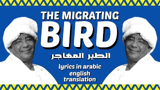 quotThe Migrating Birdquot quotالطير المهاجرquot by Mohammed Wardi  English Translation [upl. by Zoltai362]