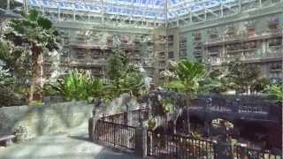 FARO Focus3D FlyThrough Animation of the Gaylord Palms Resort [upl. by Niret]