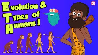 What Is Evolution amp types of HUMANS  Dr Binocs Show  Peekaboo Kidz [upl. by Ynohtnanhoj]