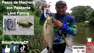 Pesca de Machaca con Paseante Artesanal quotLord Fishing™️quot [upl. by Notslar]