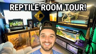 REPTILE ROOM TOUR  September 2023 [upl. by Akerahs]