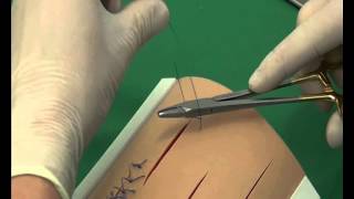 CSL Cruciate suture pattern [upl. by Enyala]