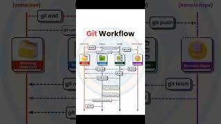 GIT WORKFLOW gitcommands github git workflow githubcopilot programmer head commands tech [upl. by Spitzer651]