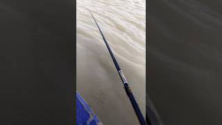 FISHING WITH FISHING ROD new video 🎣 fishing maxfishing fish [upl. by Alamap]