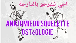 ostéologie humaine  squelette humain [upl. by Kimberly]