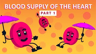 How The Heart Supplies Blood to Itself Part 1  Physiology [upl. by Kokoruda]