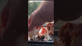 I ate a Spiny Lobster lobster seafood florida [upl. by Cleveland]