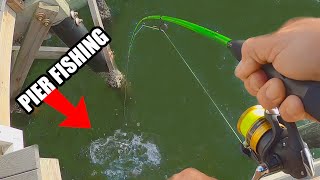 Pier Fishing Saltwater Everyone Hooked Up [upl. by Ulick]