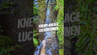 KneippAnlage Luchsbrunnen 😍😎 blackforest nature schwarzwaldliebe kneipp wassertreten [upl. by Munsey]