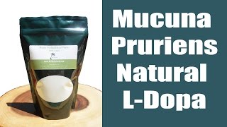 Mucuna Pruriens Review and Experience [upl. by Asela]