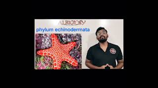 phylum Echinodermata  Animal classification  Viral Short  Avinash sir [upl. by Nimsaj]