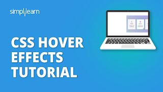 CSS Hover Effects Tutorial  Hover Effect In CSS  CSS Tutorial For Beginners  Simplilearn [upl. by Tedder]