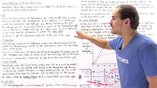 Factors Affecting Hemoglobin Dissociation Curve [upl. by Lekcar296]