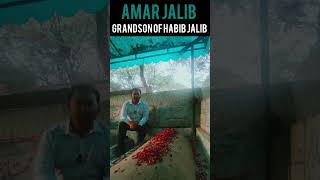 Aisy dastoor ko Main Nahi Manta Main Nahi Janta Habib Jalib Grandson AmarJalib On Habib Jalib Grave [upl. by Nagaem848]