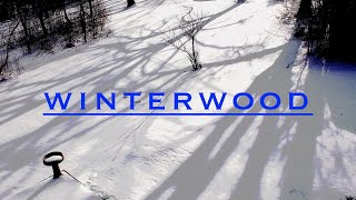 quotWinterwoodquot Don McLean lyrics [upl. by Norihs]