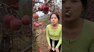 Beautiful Delicious Apple 🍎🍎  Amazing Red Apple shorts apple youtubeshorts fruit [upl. by Noirad]