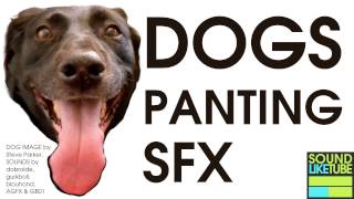 DOG PANTING SOUND EFFECT Free High Quality Download [upl. by Aitenev]