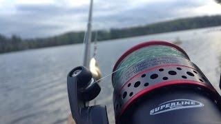 Beginners Guide To Setting Up A Fishing Rod And Reel [upl. by Percival472]