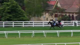 17 Sep Gallops Gallop 5 [upl. by Dnalsor]