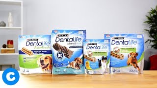 Dentalife Dog Treats  Chewy [upl. by Letnohc247]