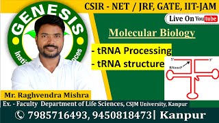 tRNA Processing  Molecular Biology  CSIR NETJRF  Life science  GATE DBT [upl. by Lladnar771]