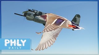 100 HISTORICAL WW2 DUCK GUN Sound Effects War Thunder as real as it gets [upl. by Chandless]