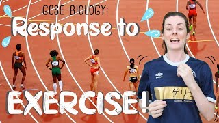 Response to Exercise  GCSE Biology [upl. by Aseuqram114]