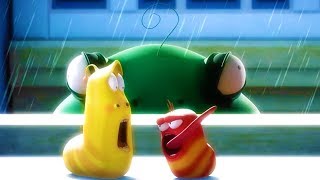 LARVA  THUNDER STORM  Cartoon Movie  Cartoons  Comics  Larva Cartoon  LARVA Official [upl. by Seko477]