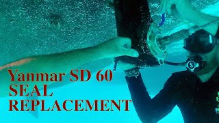 Yanmar SD 60 Saildrive In water Seal Replacement [upl. by Sevein]