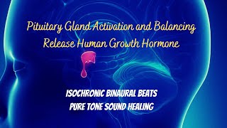 Pituitary Gland Activation and Balancing  Isochronic Binaural Beats  Release Human Growth Hormone [upl. by Marv846]