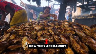 Fishing in Africas Biggest Floating Slum  Makoko Lagos Nigeria [upl. by Pentheas]