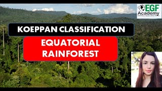 Equatorial Rainforest Climate l Koeppens Climate Classification l Equatorial Rainforest Biome [upl. by Ennaid]