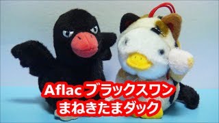 アフラック ブラックスワン有吉 VS まねきたまダック がん保険 Aflac [upl. by Mello]