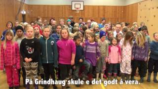 Grindhaug skule [upl. by Skoorb361]