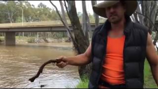 Murrumbidgee River [upl. by Grimaldi5]