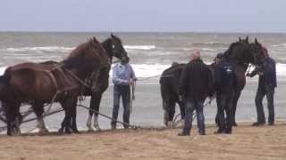 Paardenreddingboot Ameland in Katwijk HDCX730 [upl. by Erin]