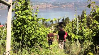 BC Winegrowers Series  Summerhill Pyramid Winery [upl. by Adleremse]