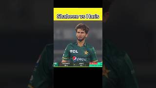 Shaheen Afridi VS Muhammad Haris 🔥 shaheenafridi cricket viral [upl. by Desirae]