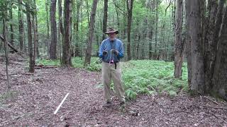 Secrets to Working With Dowsing RodsWith Tips and Exercises [upl. by Rolan292]