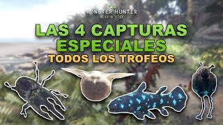 MHW  Ubicación de las 4 capturas especiales [upl. by Anoif347]