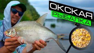 ФИДЕРНАЯ ЛОВЛЯ НА РЕКЕ  РЫБАЛКА НА ФИДЕР  FROS FISHING [upl. by Selia]