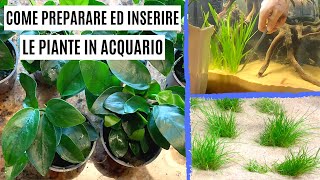 Come preparare ed inserire le PIANTE in ACQUARIO 🌱  Unboxing [upl. by Nadab400]