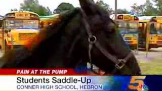 Students Riding Horses to School [upl. by Callum]