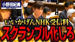 【小野田紀美】永住資格の裏に潜む闇⁉ 不正受給と居住実態のない外国人の真実！NHKの受信料問題に迫る！【国会中継】 [upl. by Irrot841]