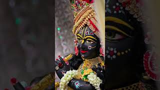 Govinda gopala hare krishna hare Nanda lala 💫💫 shortfeed govinda [upl. by Irik]