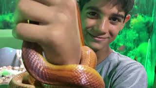 Visita a exposição da Trilogiabio 🐍 🦎 [upl. by Nohj163]