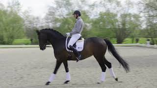 Patrik Kittel Dressage Tour S2E2  Medelsvår Nivå Galoppombyten [upl. by Hodosh754]