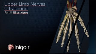 ULNAR NERVE ULTRASOUND [upl. by Ahsienek]